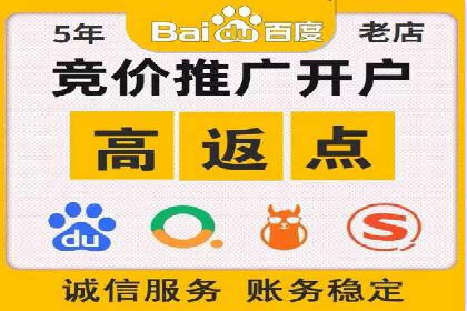 电商行业SEM运营的挑战与成功案例